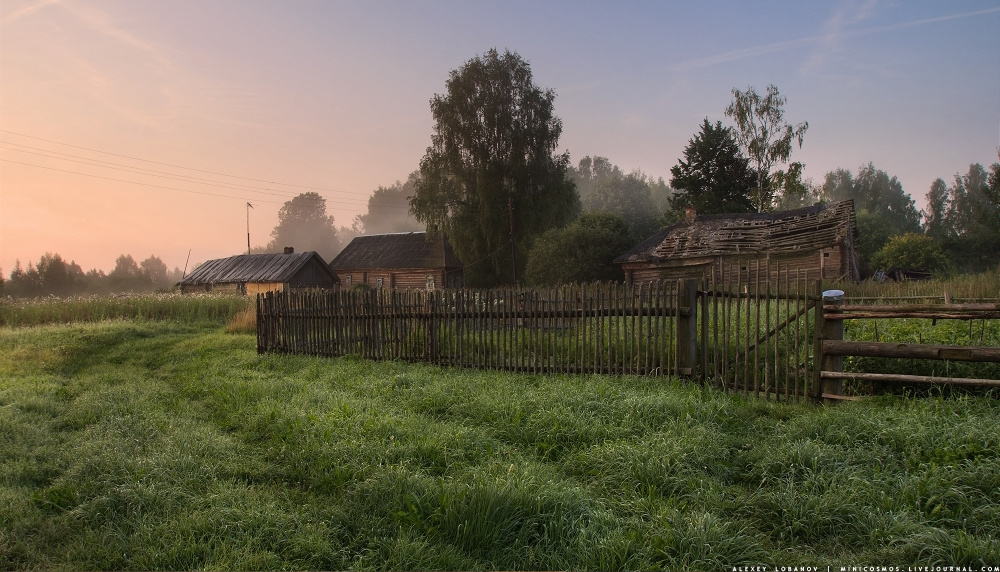 Утро в деревне 