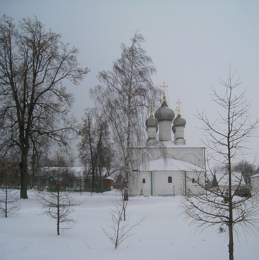 Зима зима, монастырь, березка
