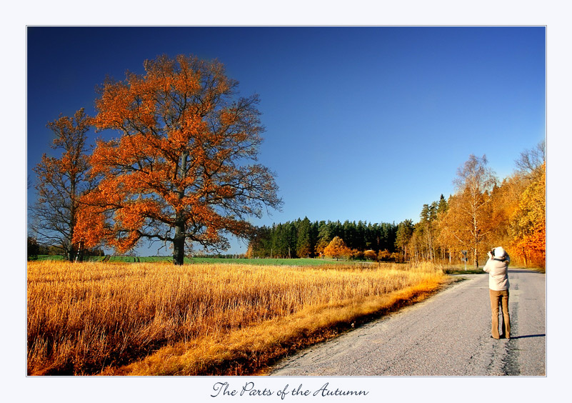 ~ The Parts of the Autumn ~ 