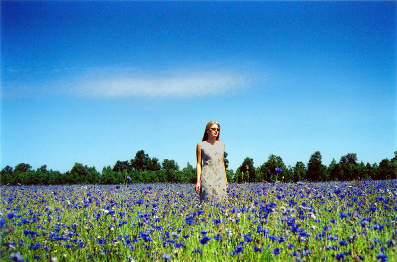 Blue Fields No2 