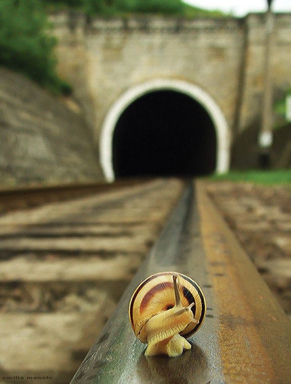 oko, train is comin\' !!!! 