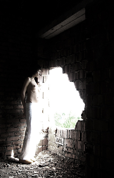 Window 