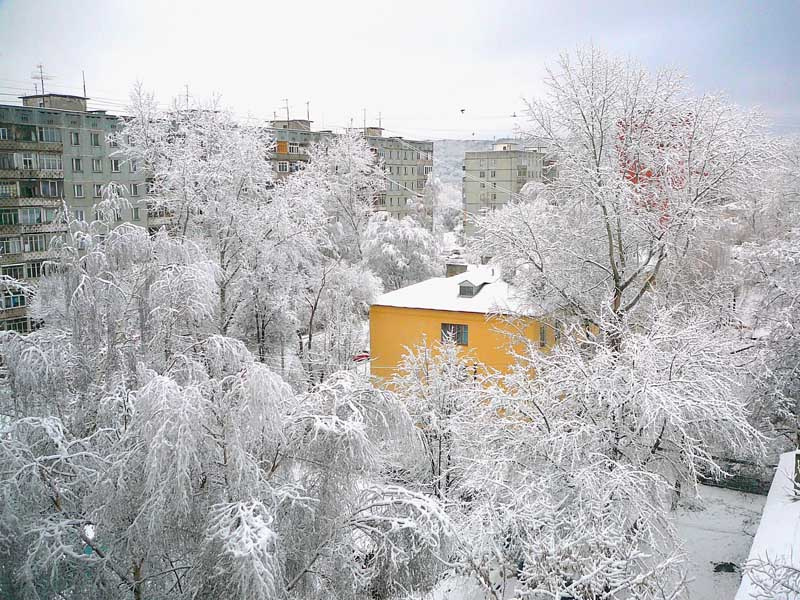 первый день зимы зима,красота,первый день зимы