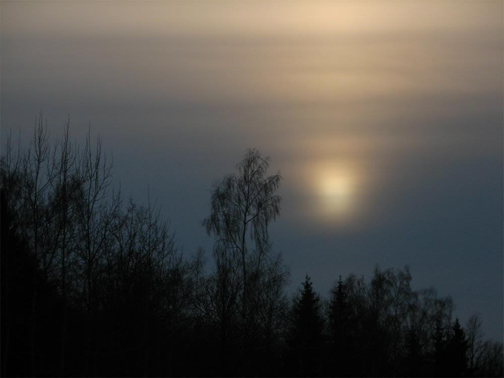 закат закат, солнце, дерево