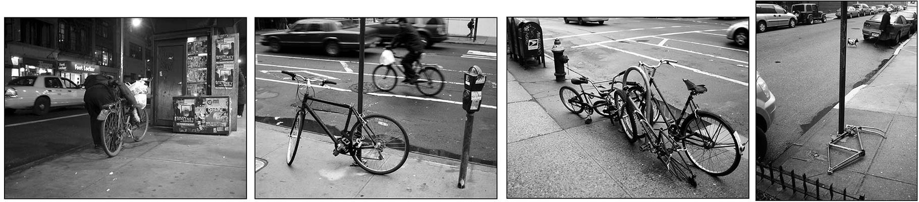 velo 