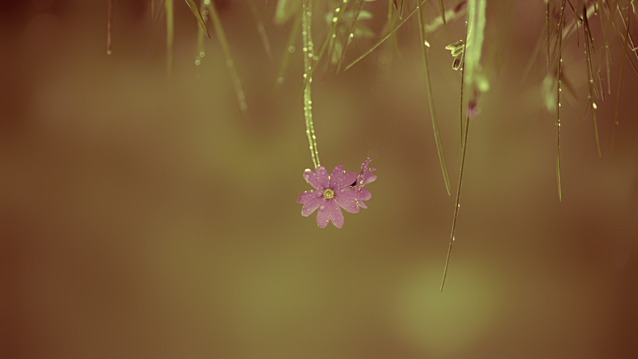 I love nature 