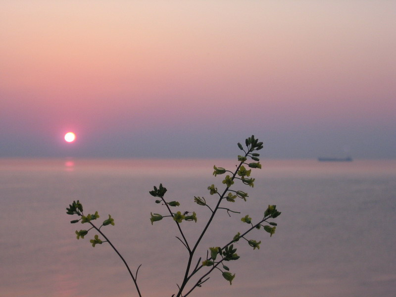 sunrise солнышко, море