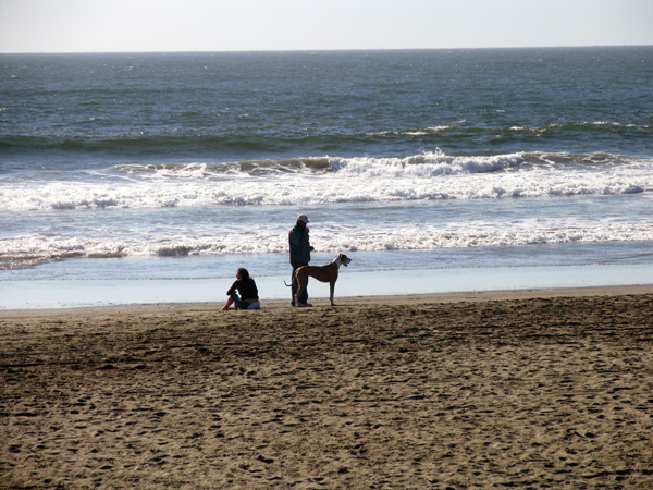 Man, woman and dog. Pacific Ocean, San-Francisco