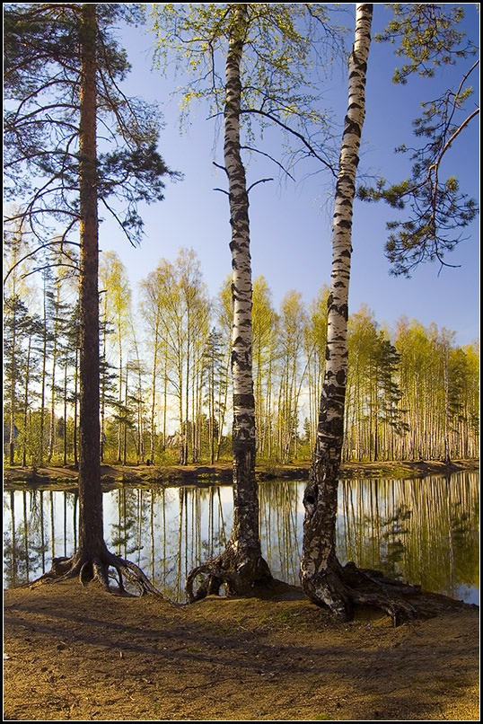 хочу на природу! 