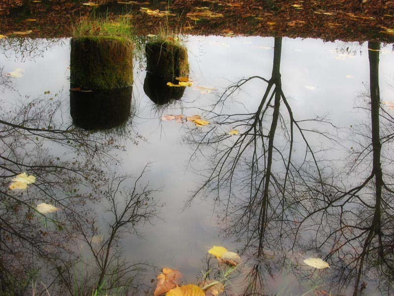 в осенней воде 