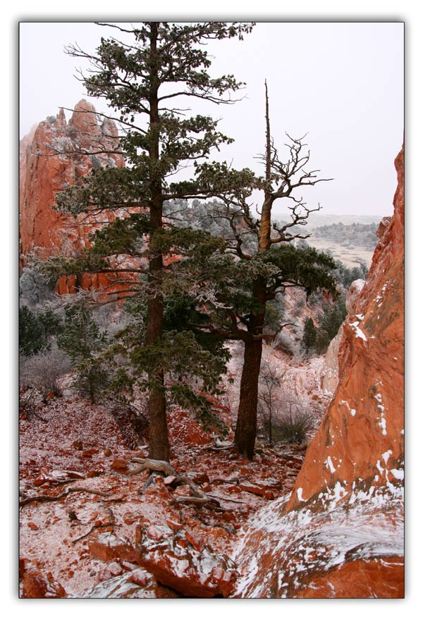 Colorado 