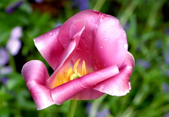 006 