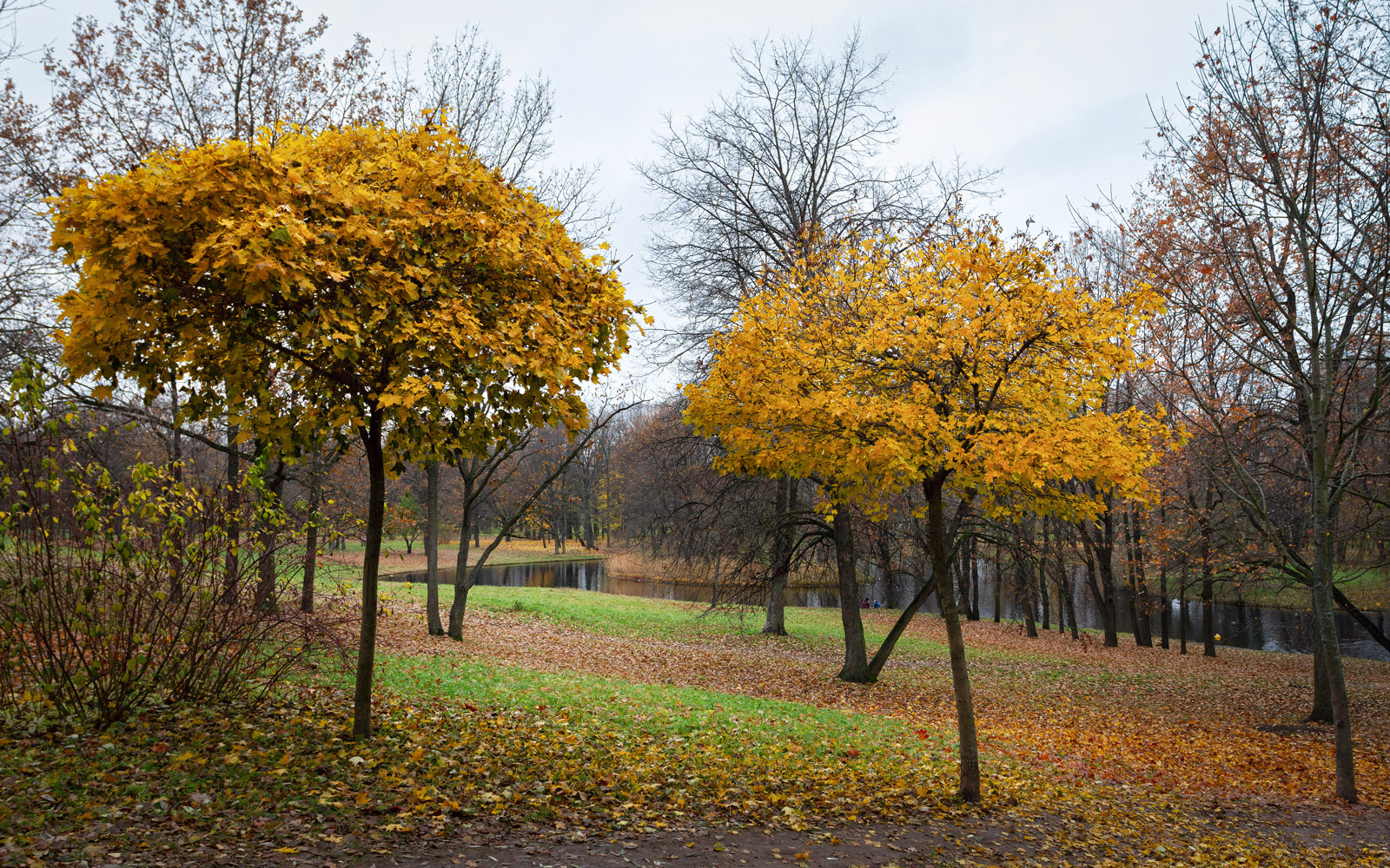 В осеннем парке... парк осень