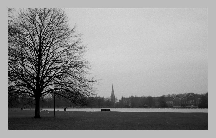 Kensington Park 