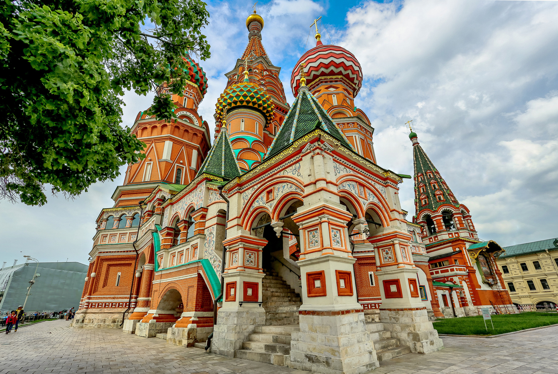 В цвете. 