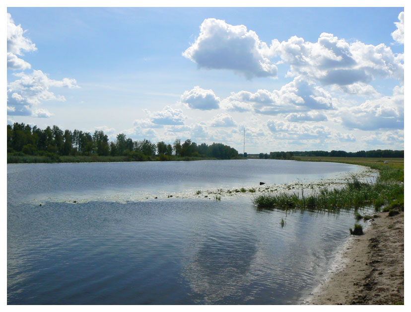 Опять про воду!!! Вода, прирорда, река, лес, небо