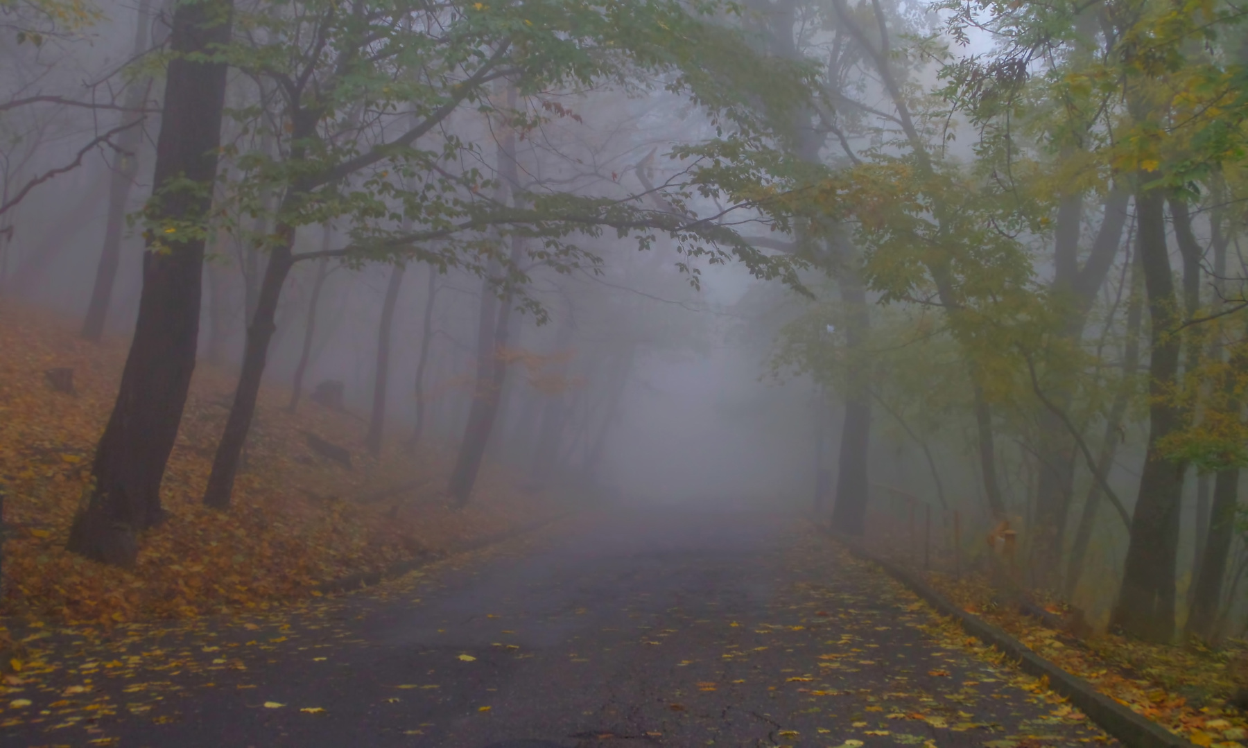 Утром туманным........... 