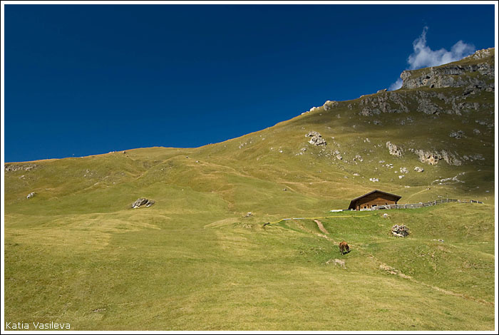 В горах горы природа альпы