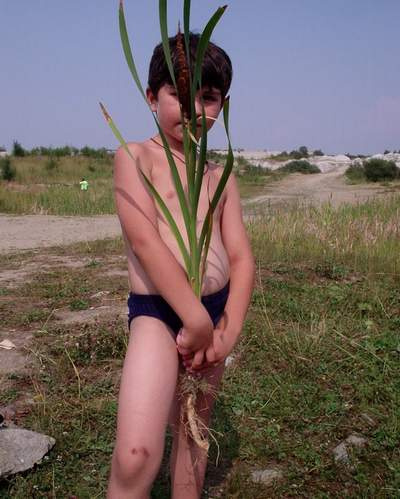 Зри в корень 