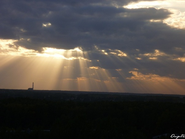 лучи солнца 