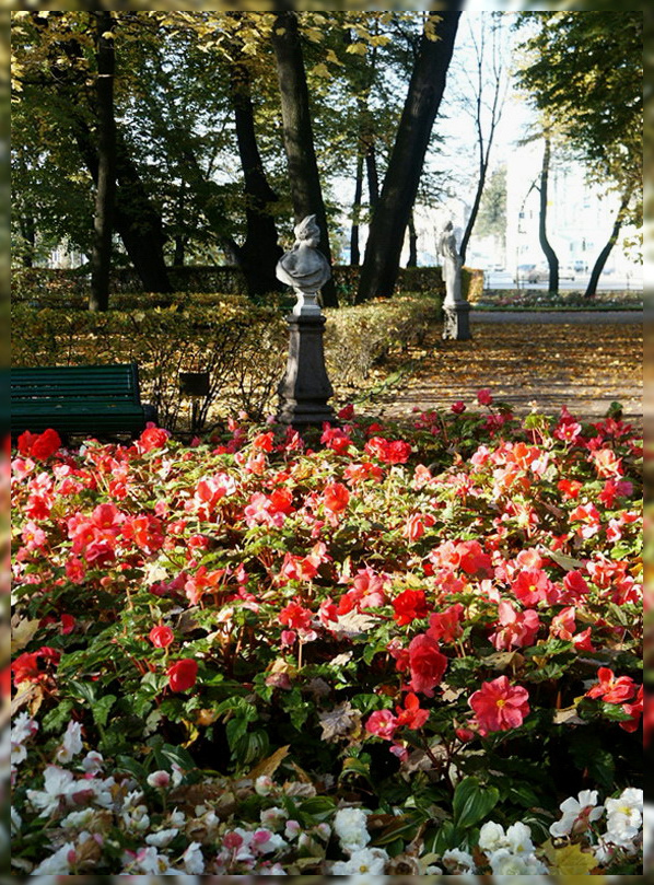 Летний сад. 2008 год санкт-петербург летний сад осень