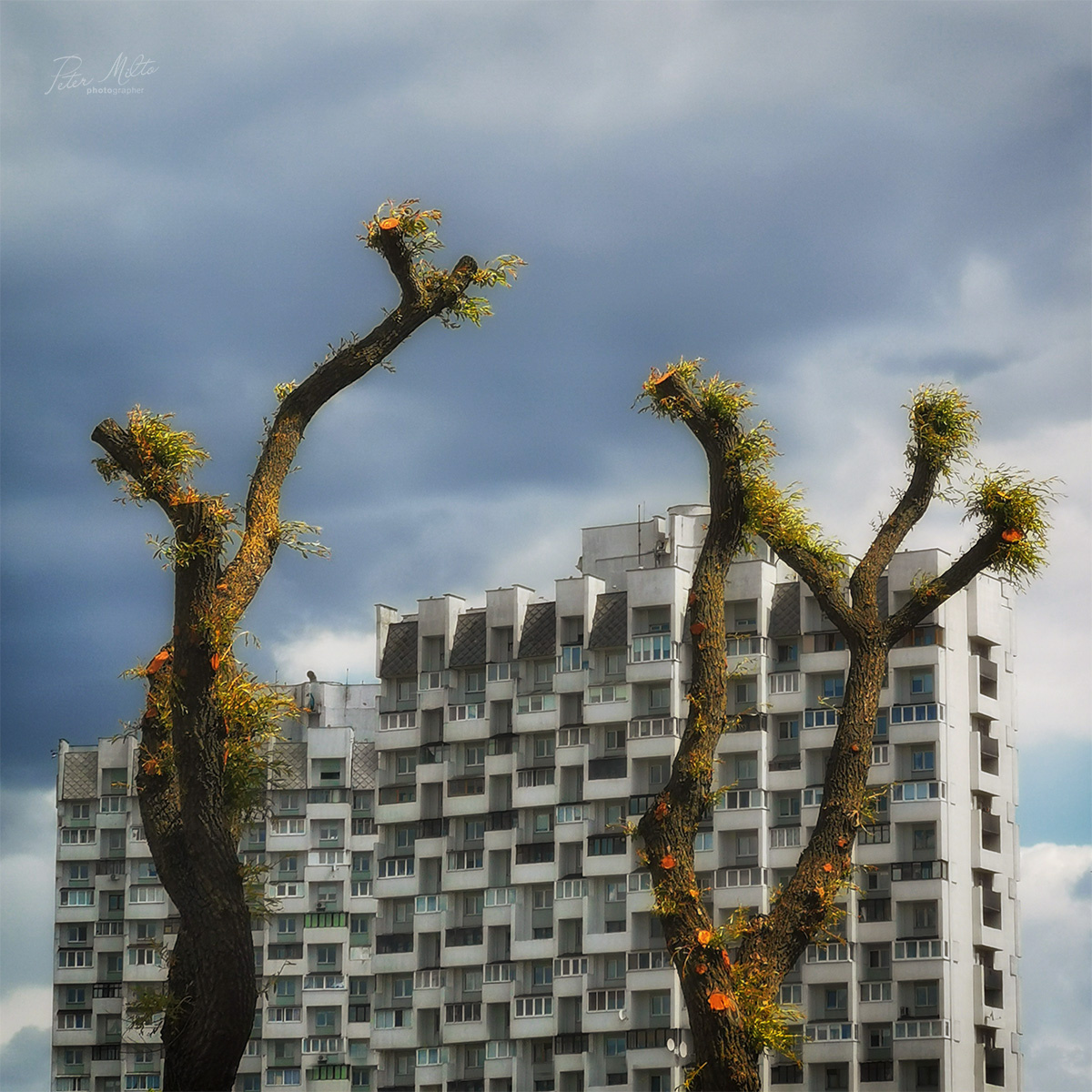 Урбанизация 