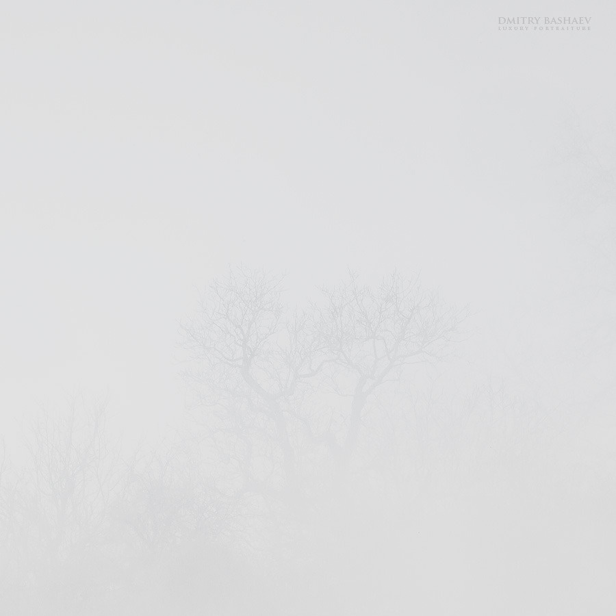 White Out Демержи, туман, горы, пейзаж