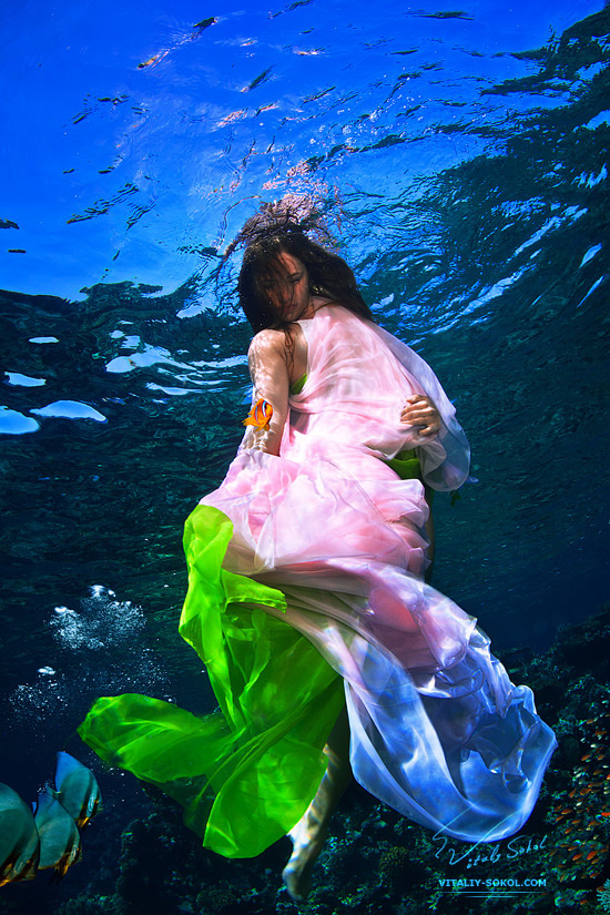 Mulier amicta mare vitaliy-sokol.com, underwater fashion