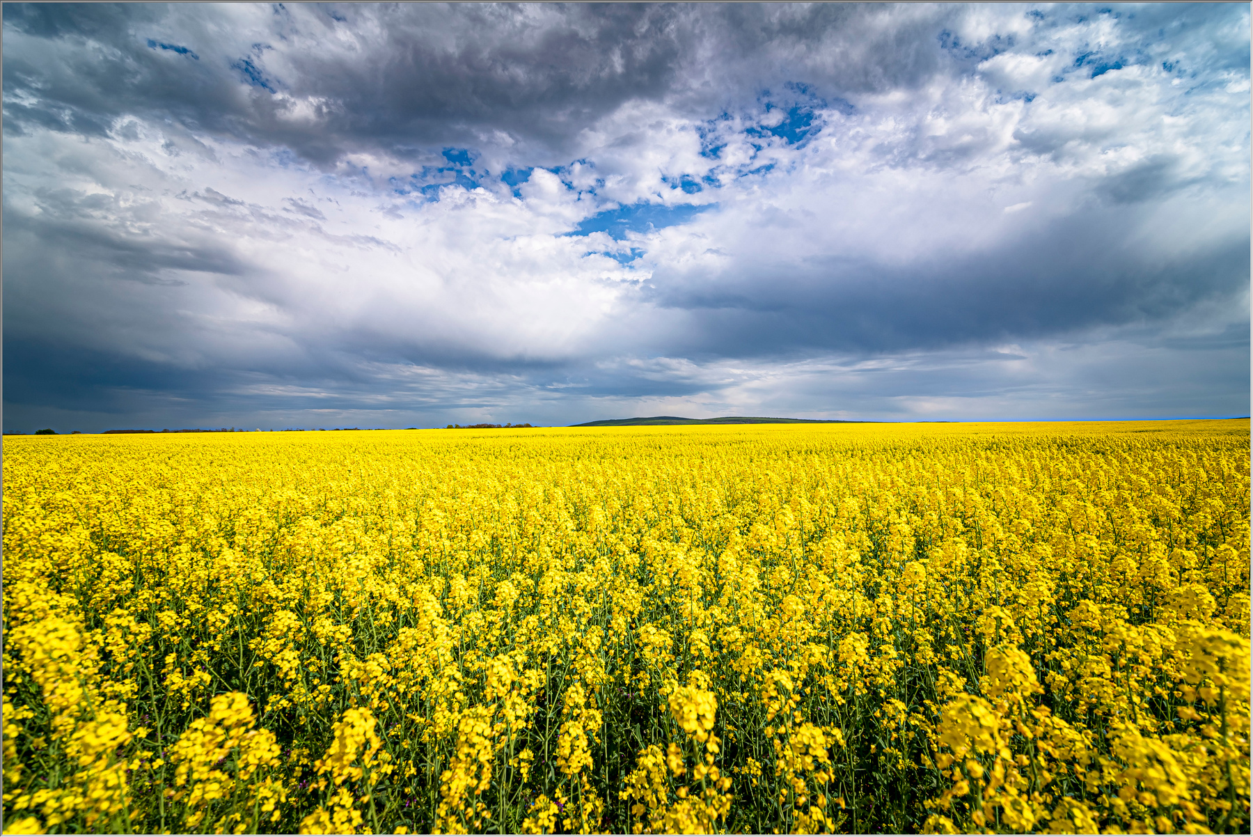 Солнечная долина природа