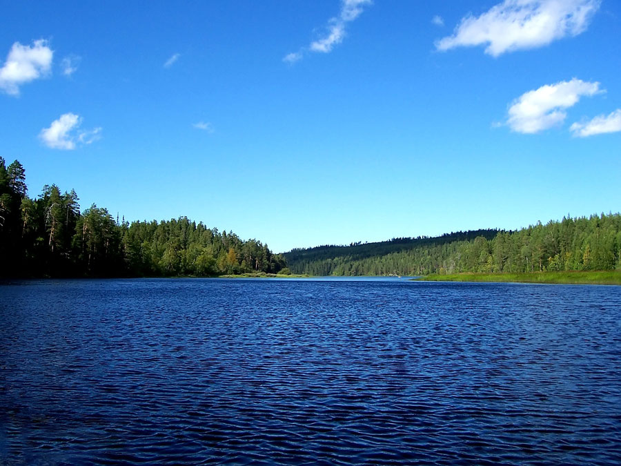 Первозданная красота Карелия, река, лес, небо