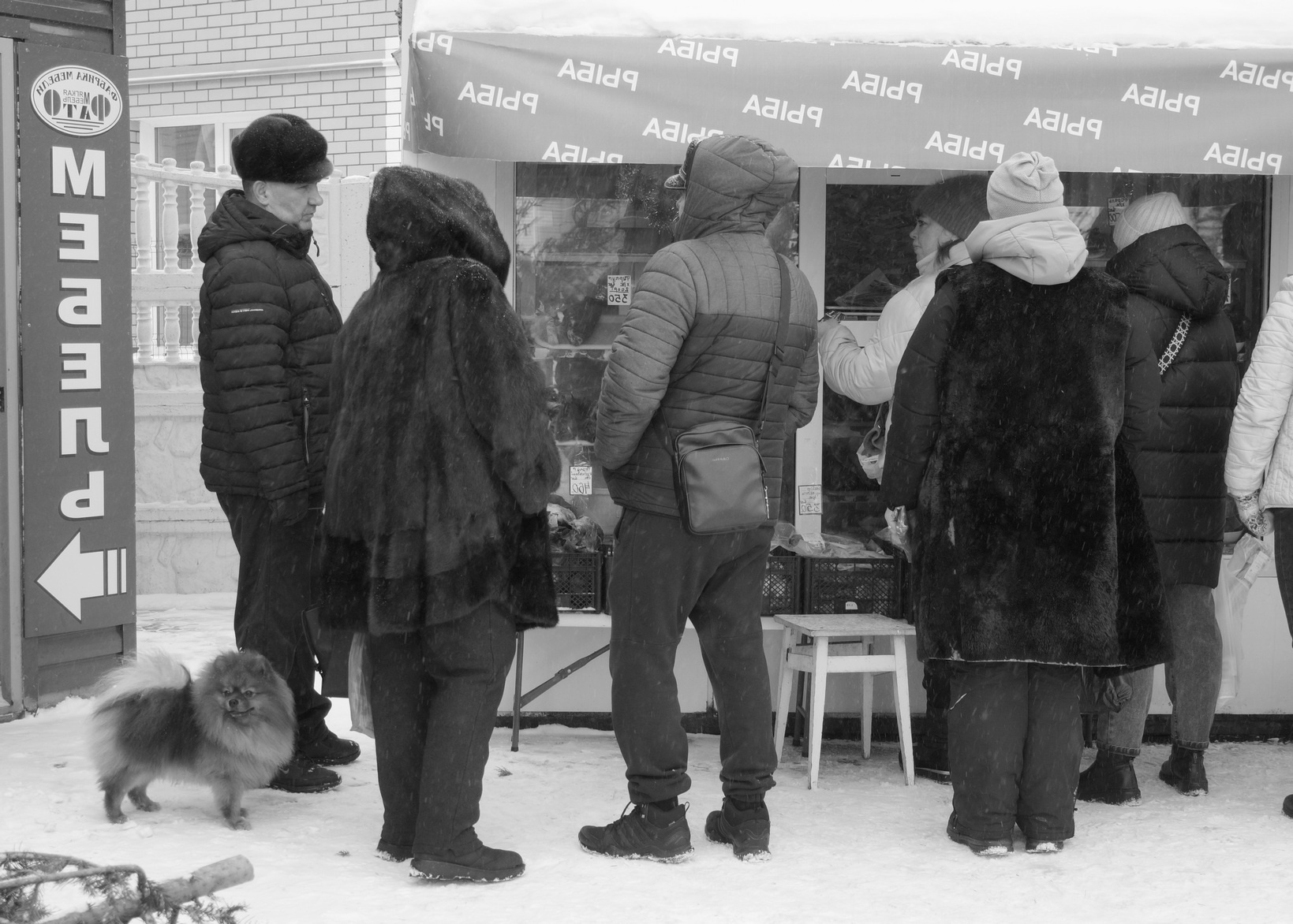 Абырвалг М Булгаков Собачье сердце