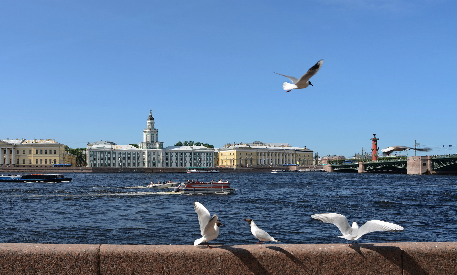 Петербург 