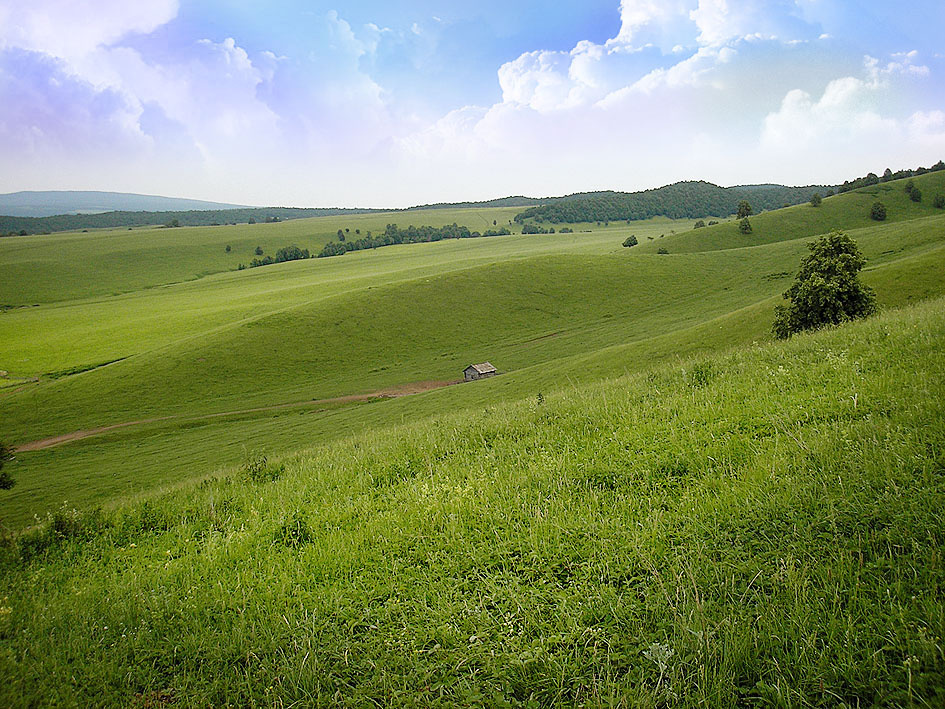 Новая Зеландия? Башкирия ))) Луга, просторы, зелень, одинокий домик, холмы, Башкирия