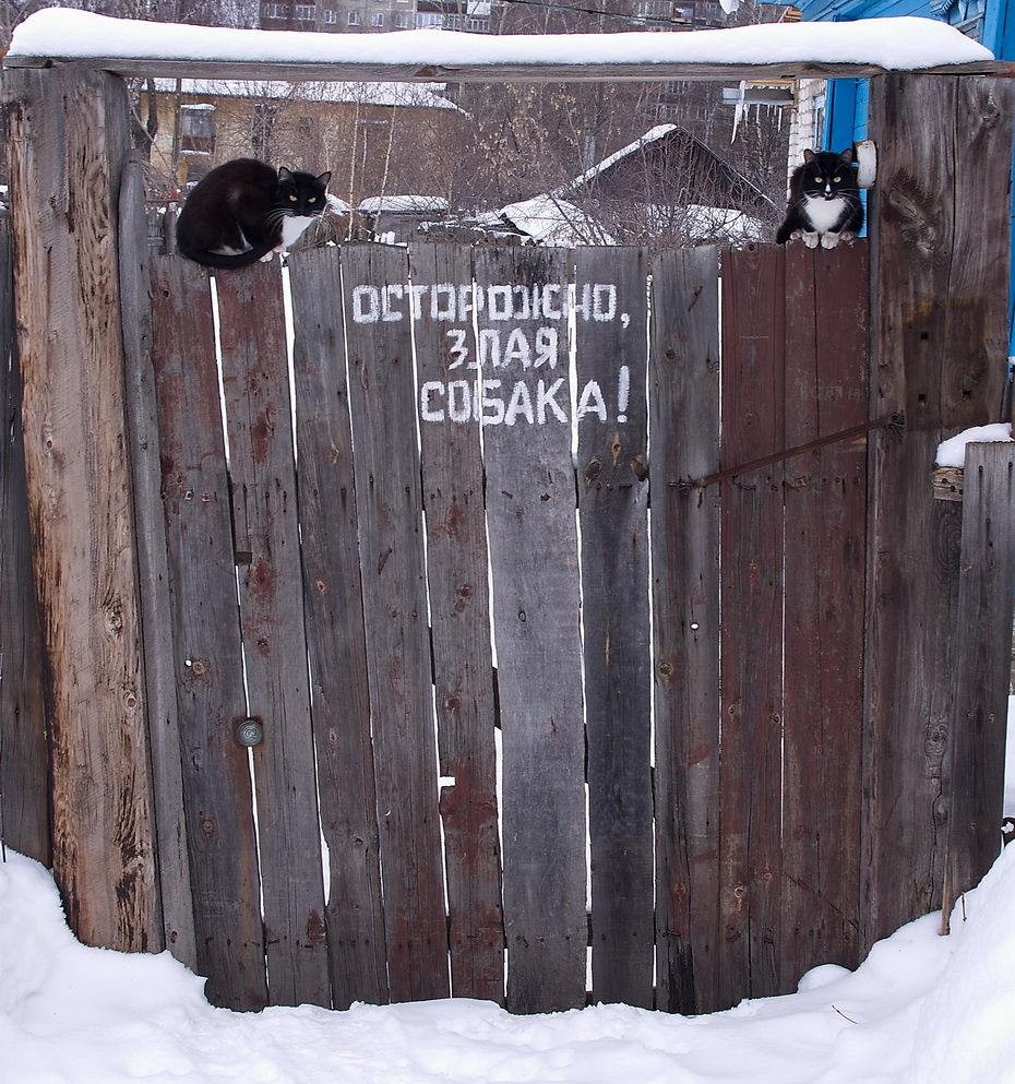 Без слов  