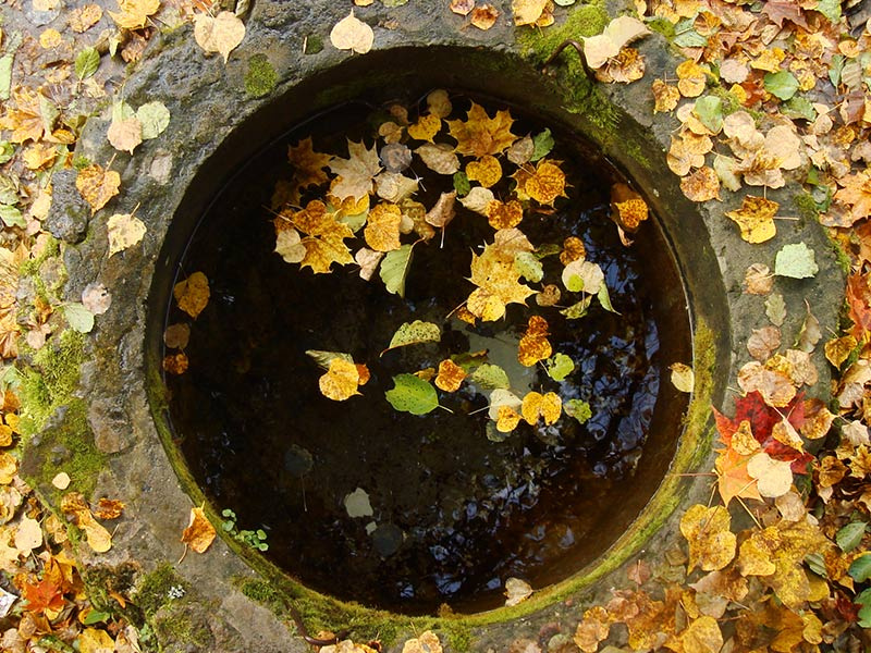 звонок вода, колодец, листья