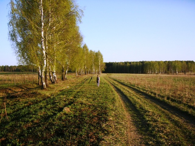 Места родные Местный лес, Закат, майские праздники