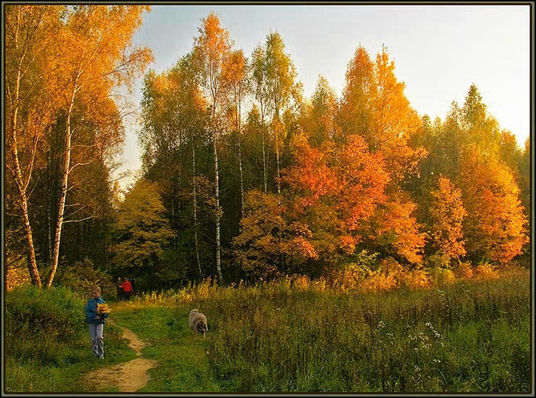 Букетик 