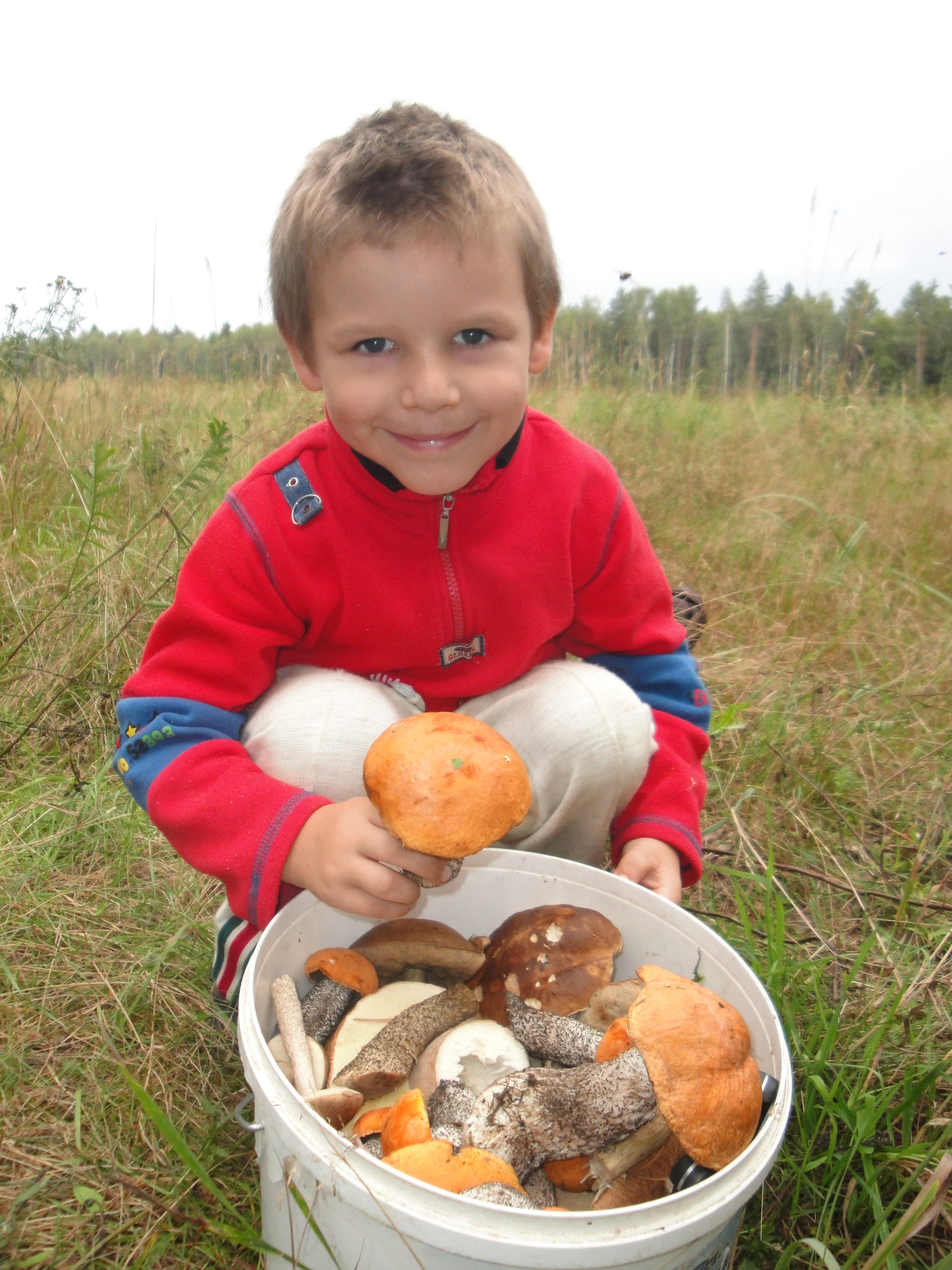 грибник 