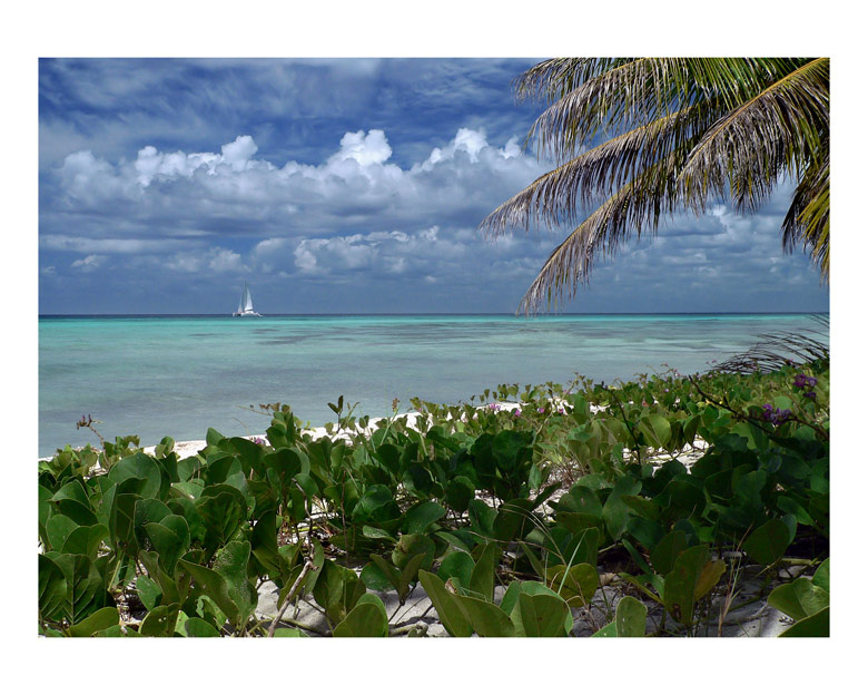 Saona Island Beach море, пляж