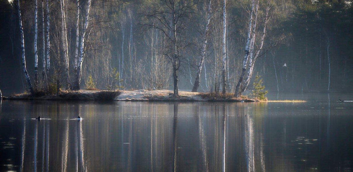 В утреннем свете..... 