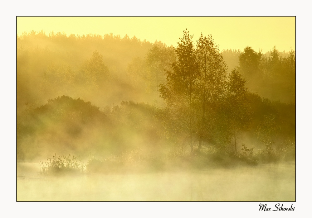 Golden morning 