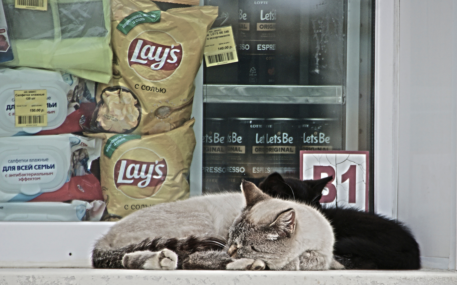 lay's cats Амурская область Тамбовский округ Новоалександровка заправка касса