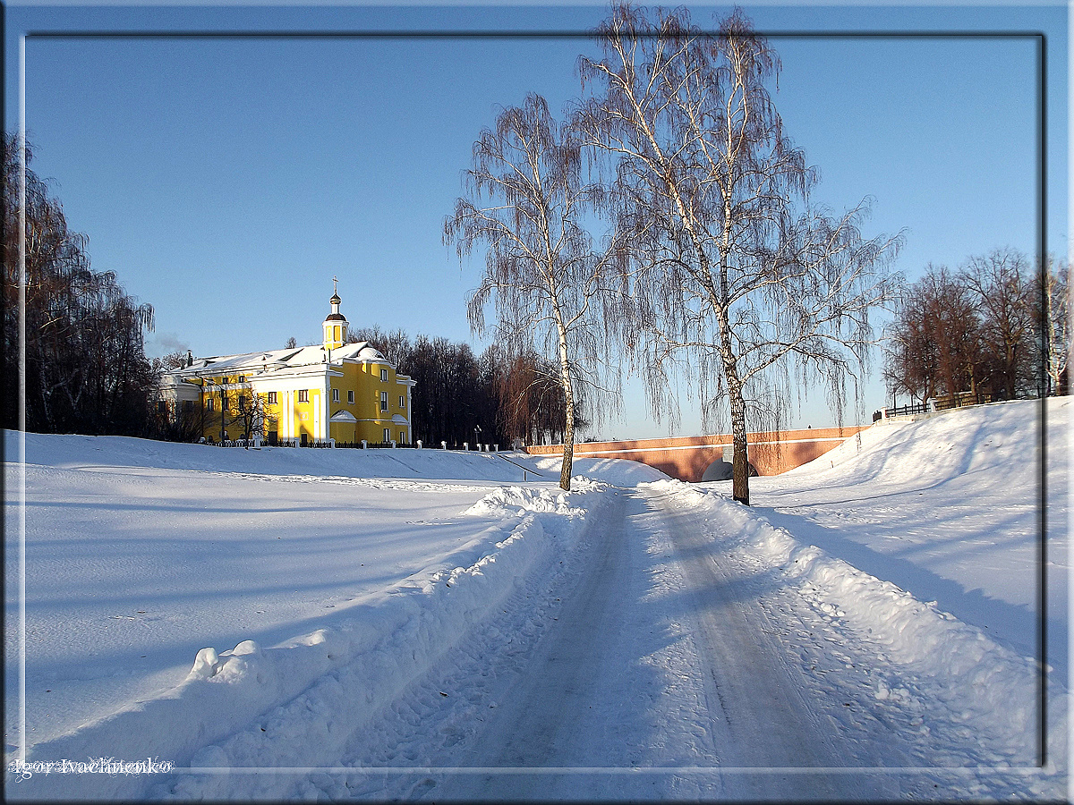 две березки природа