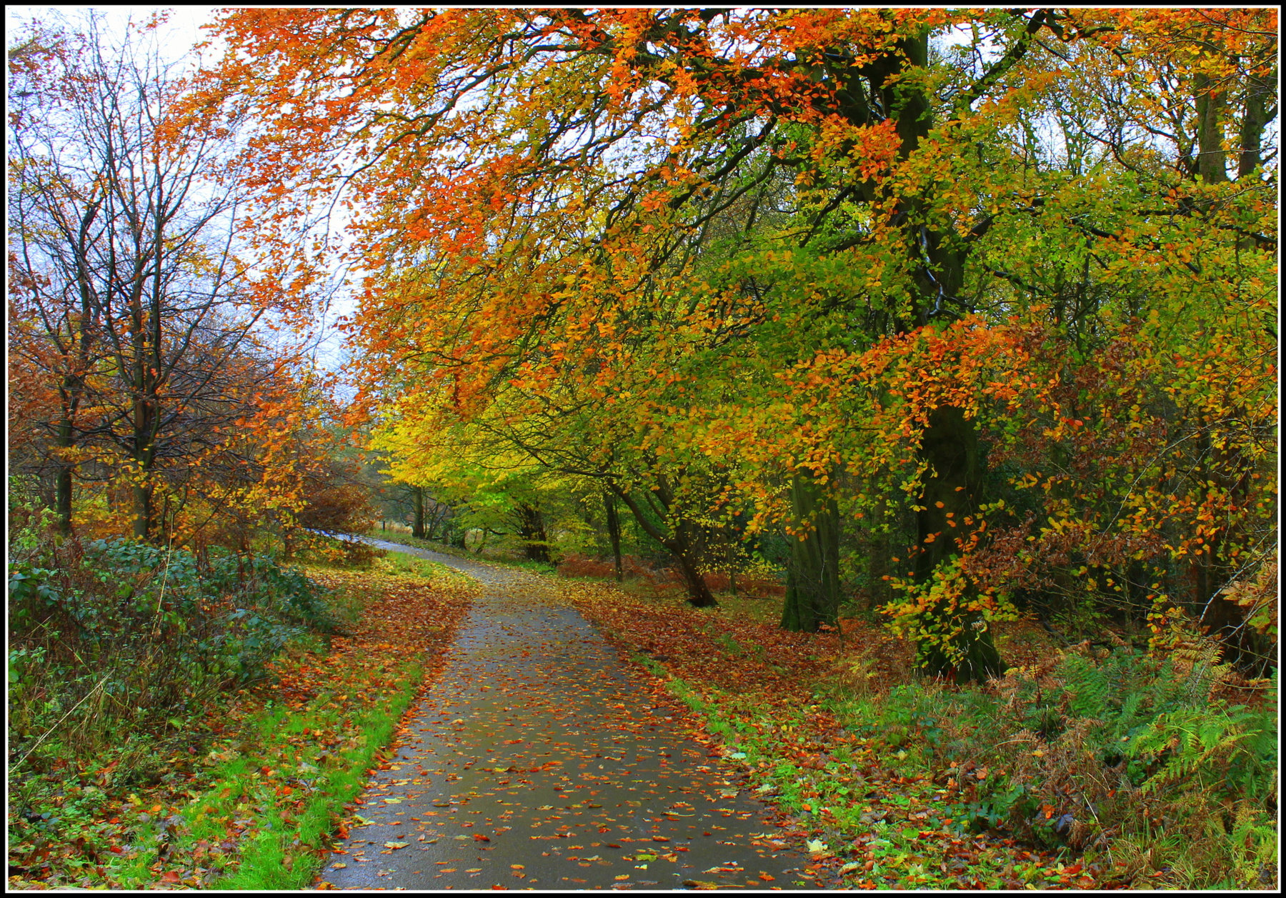 ... mirtle park bingley england uk