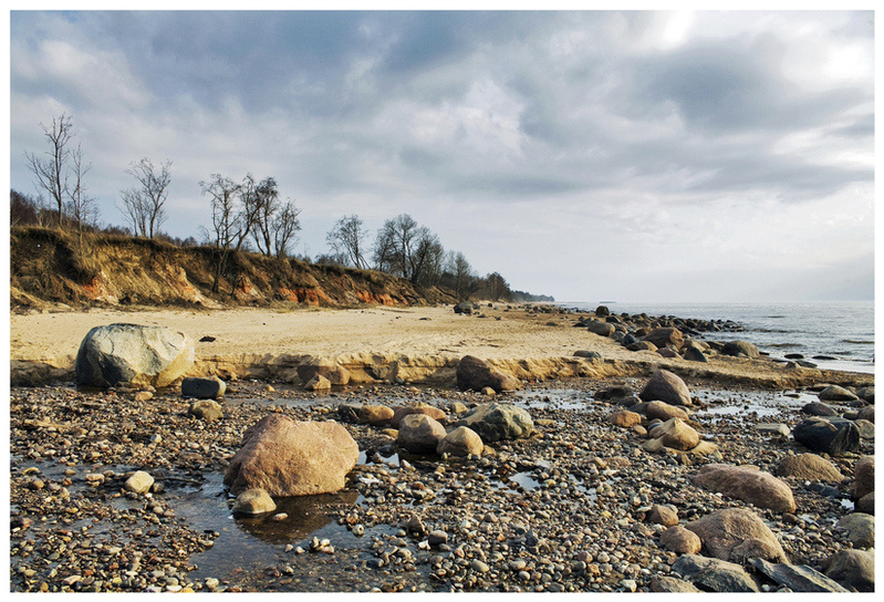 Viking's coast 