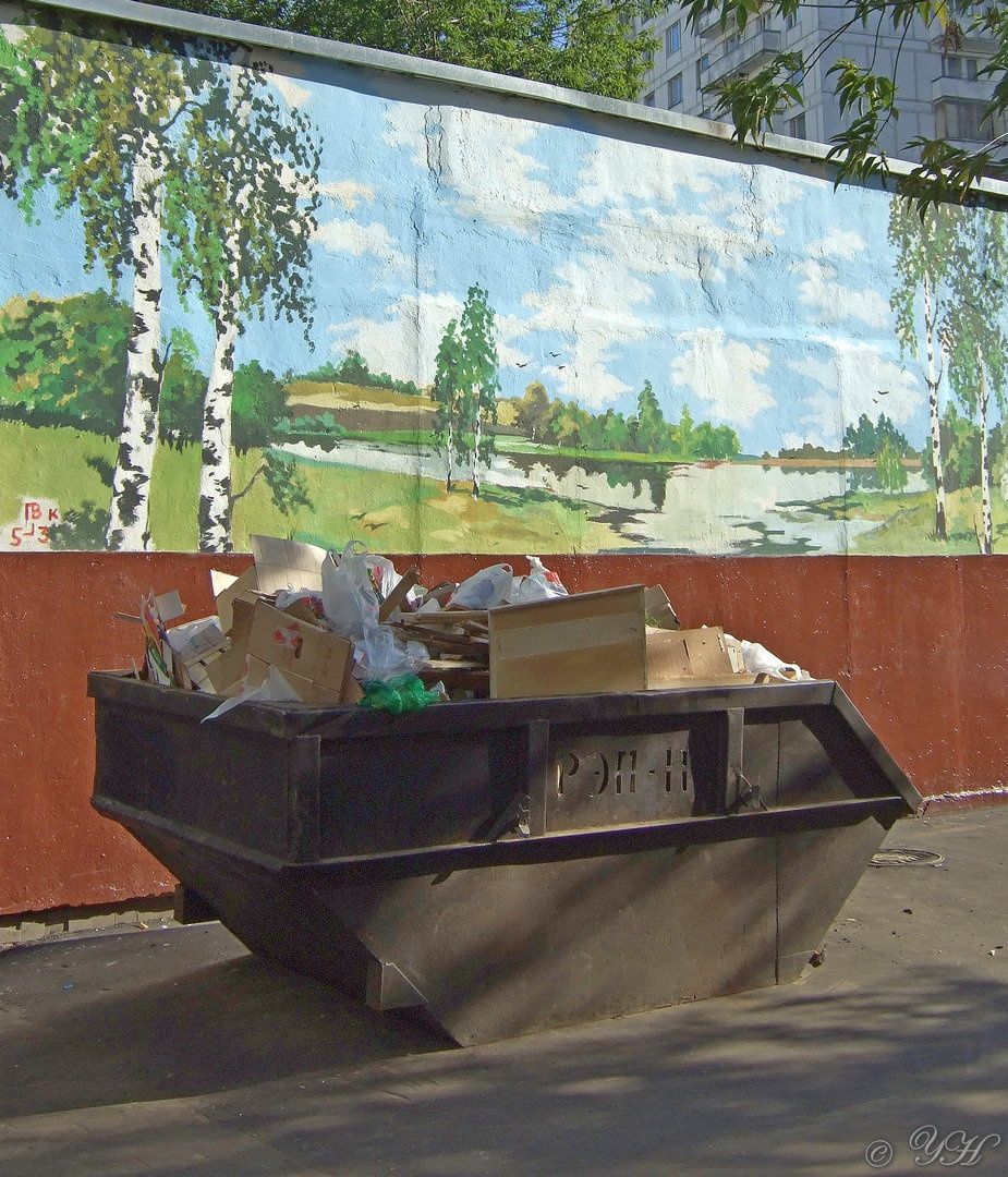 Городская природа. 