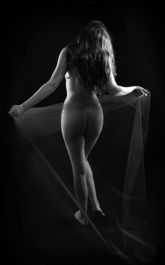 In a silver light 