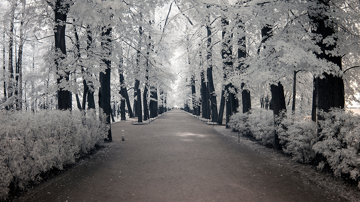 *** infrared, инфраред