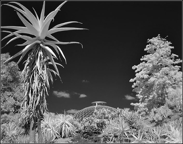 Другой глобус - 2 инфракрасная фотография, infrared
