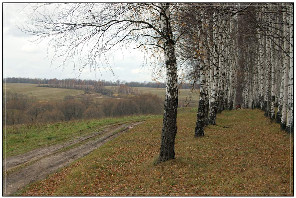 Тоскливая осень осень трактор